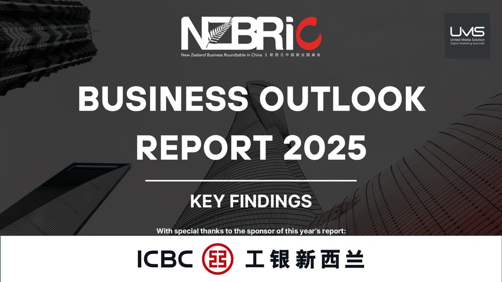 BUSINESS OUTLOOK REPORT 2025