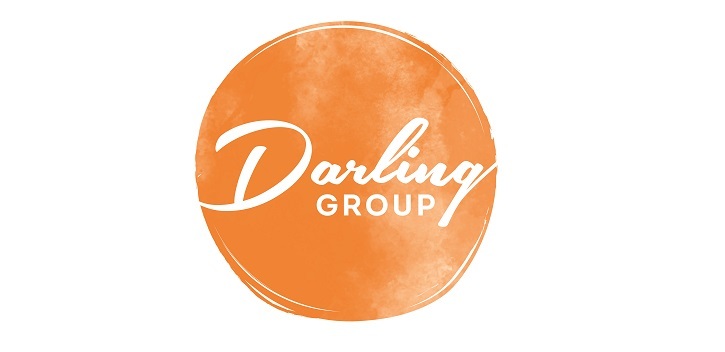 Darling Group Logo for website